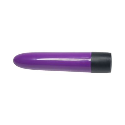 5 Inch Purple Passion Rechargeable Bullet Waterproof Adult Sex Vibrator