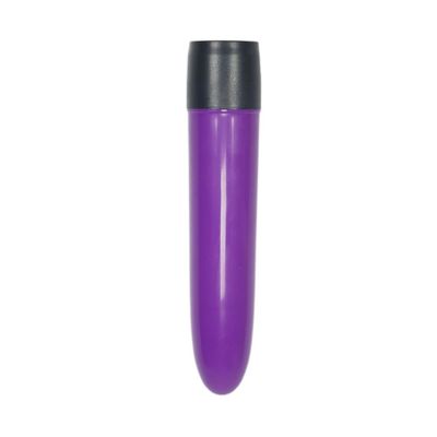 5 Inch Purple Passion Rechargeable Bullet Waterproof Adult Sex Vibrator